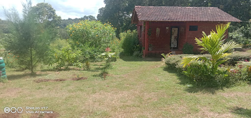 Butterfly adventure stay
