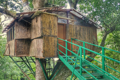 Tipperary Treehouse