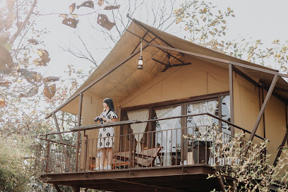 Madhuban Eco Retreat