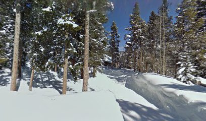 Bear Lodge by Pinnacle Lodging