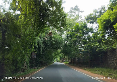 Auro Vanam Resort