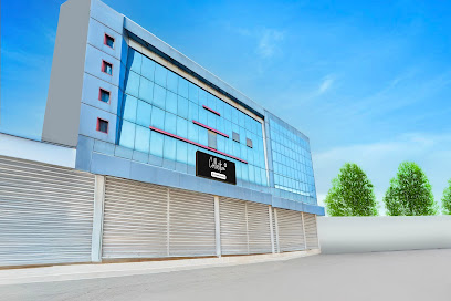 Collection O by OYO Phoolbagh Near DD Mall