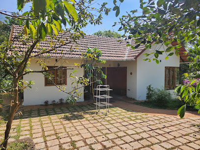 Jungle stream - villas in wayanad