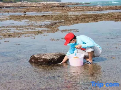 Weidu Inn Weizhou Island