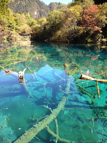 九寨沟瑞闽商务酒店
