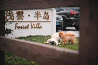 Qianyun Peninsula Forest Private Tang Holiday Courtyard