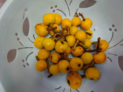 席家花园休闲渡假村